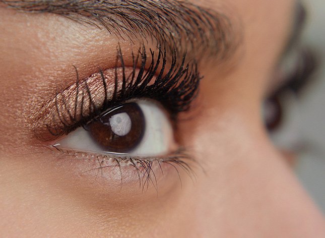 eyemacro subcategoryimage colossalcurlbounce desktop 645x472
